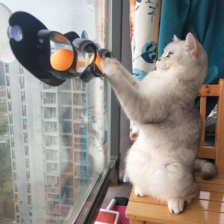 Window Track Ball Cat Toy