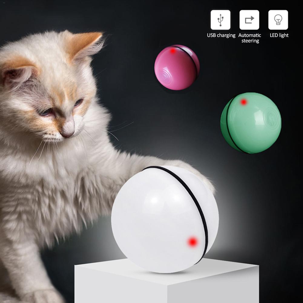 LED Cat Ball